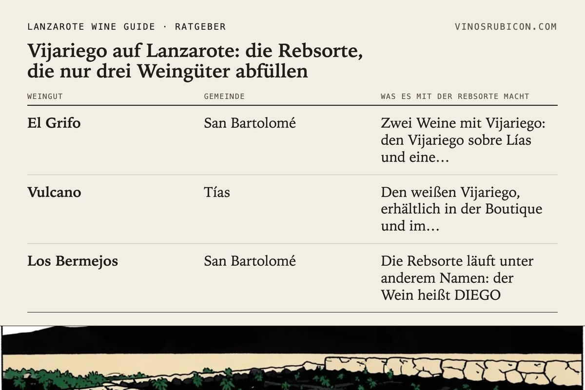 Vijariego auf Lanzarote: die Rebsorte, die nur drei Weingüter abfüllen · Datenblatt
