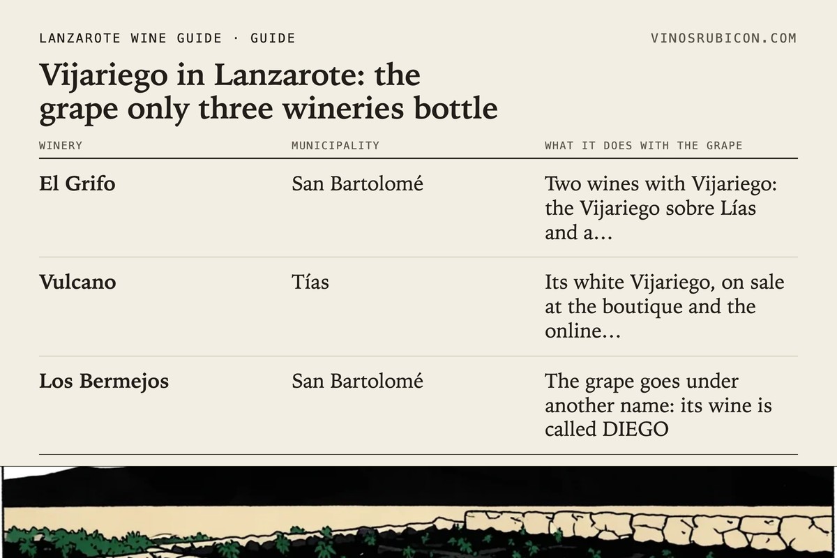 Vijariego in Lanzarote: the grape only three wineries bottle · data sheet