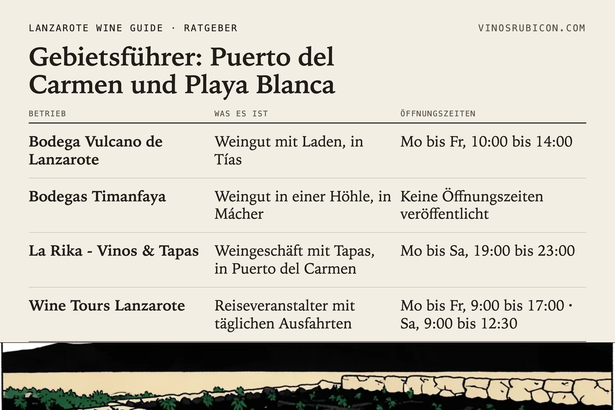 Gebietsführer: Puerto del Carmen und Playa Blanca · Datenblatt