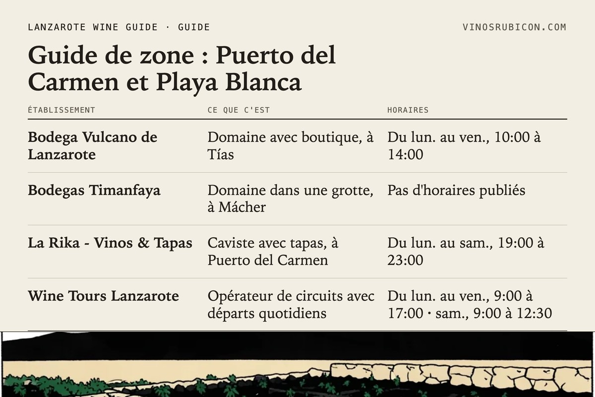 Guide de zone : Puerto del Carmen et Playa Blanca · fiche de données