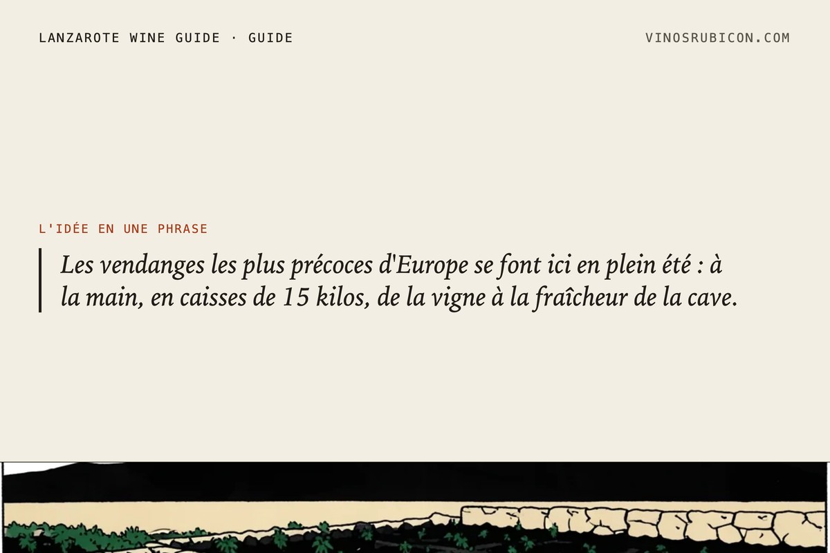 Une journée dans les vendanges · fiche de données