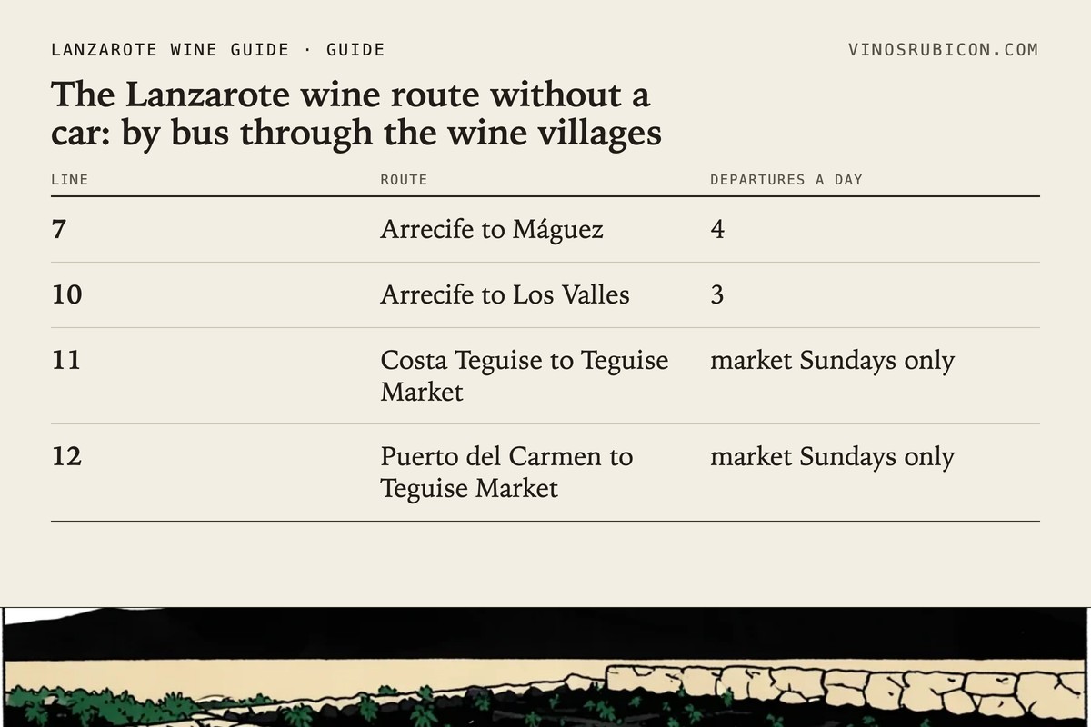 The Lanzarote wine route without a car: by bus through the wine villages · data sheet
