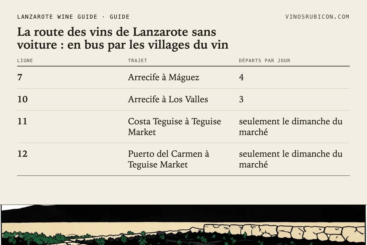 La route des vins de Lanzarote sans voiture : en bus par les villages du vin · fiche de données