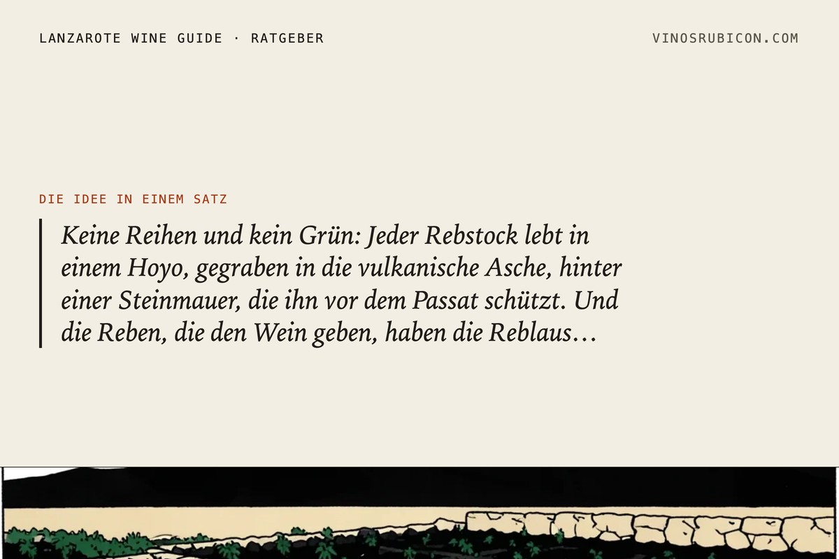 Weine von Lanzarote: warum sie so schmecken · Datenblatt