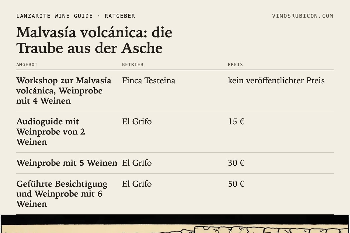 Malvasía volcánica: die Traube aus der Asche · Datenblatt