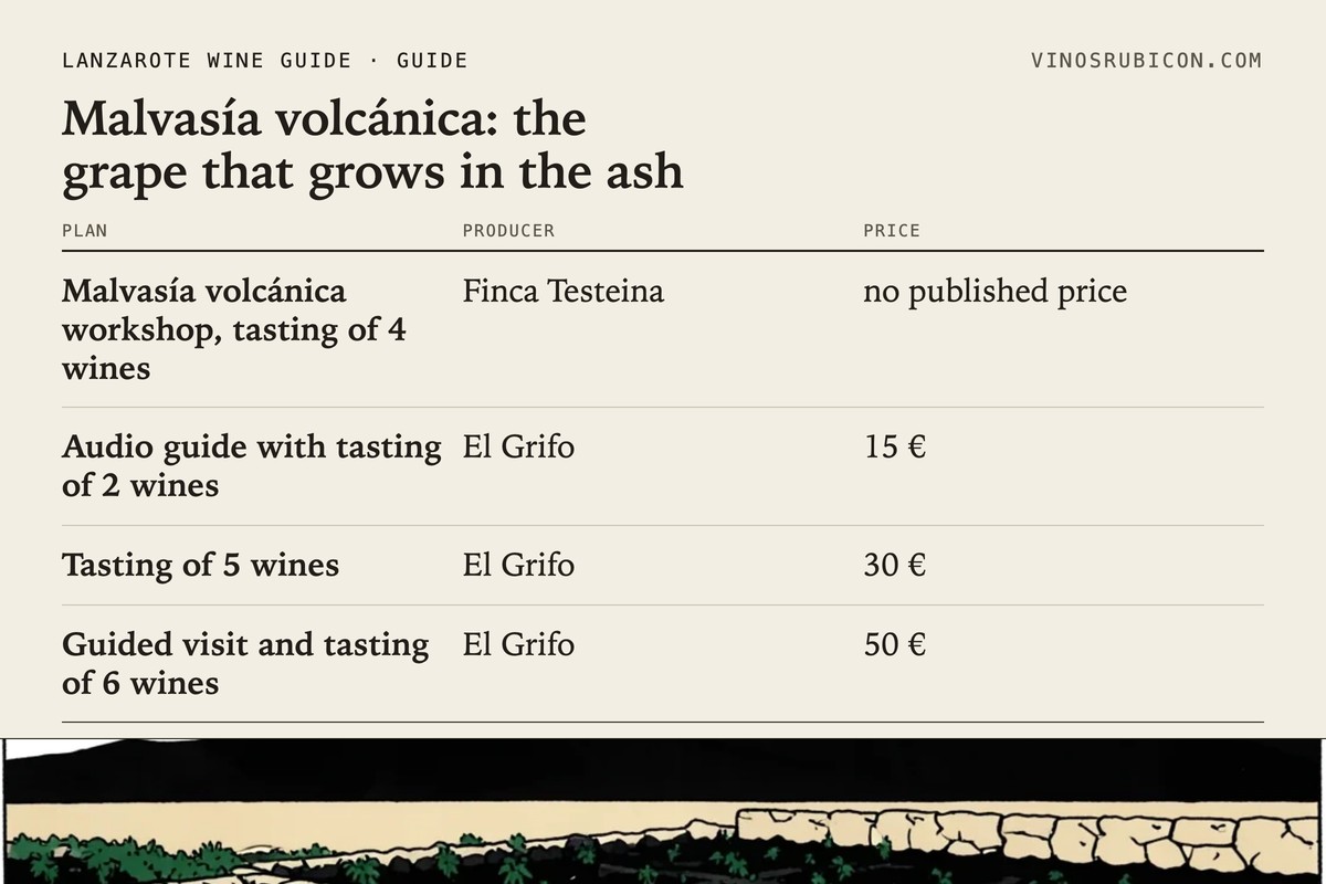 Malvasía volcánica: the grape that grows in the ash · data sheet