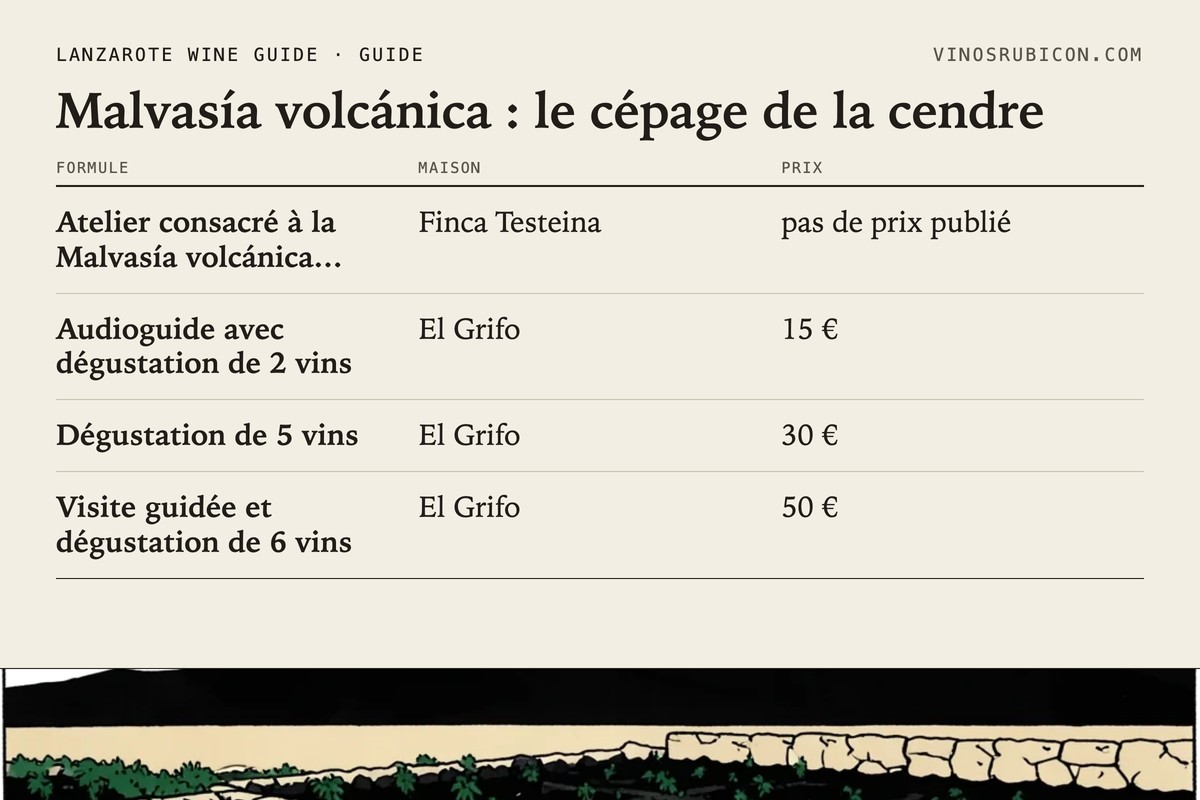 Malvasía volcánica : le cépage de la cendre · fiche de données