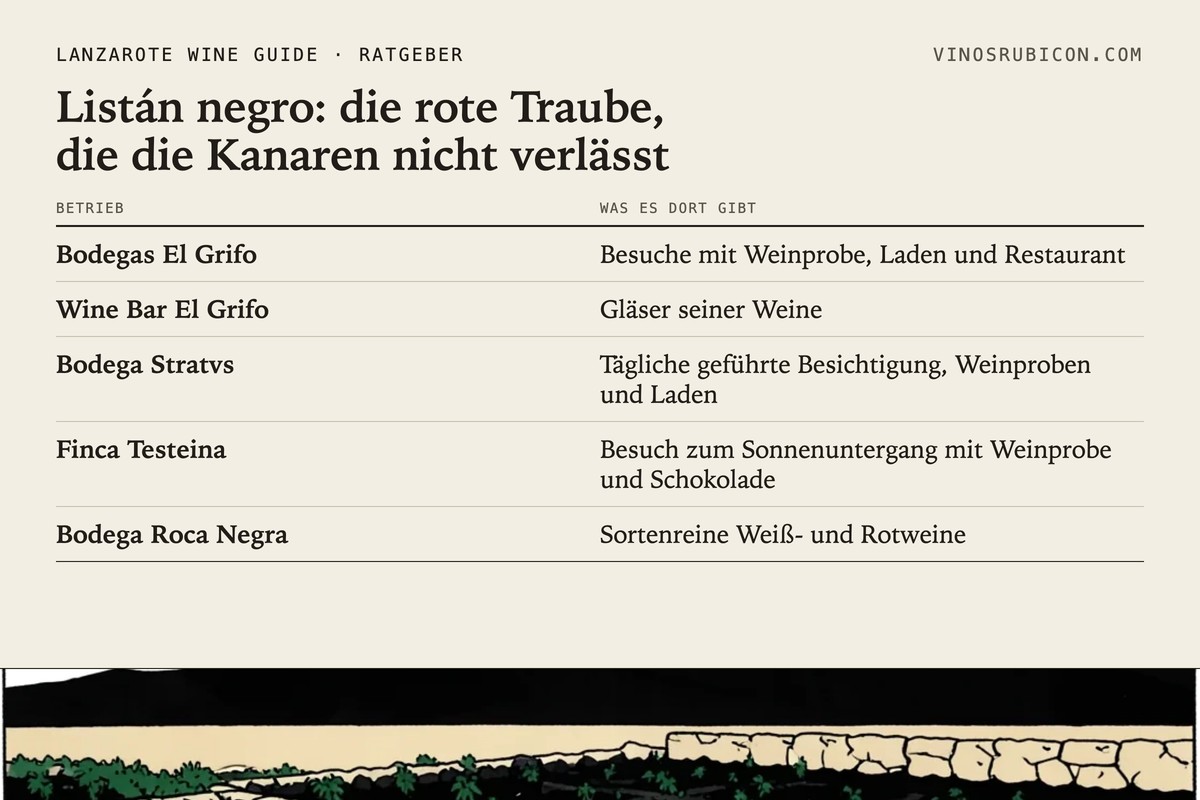 Listán negro: die rote Traube, die die Kanaren nicht verlässt · Datenblatt