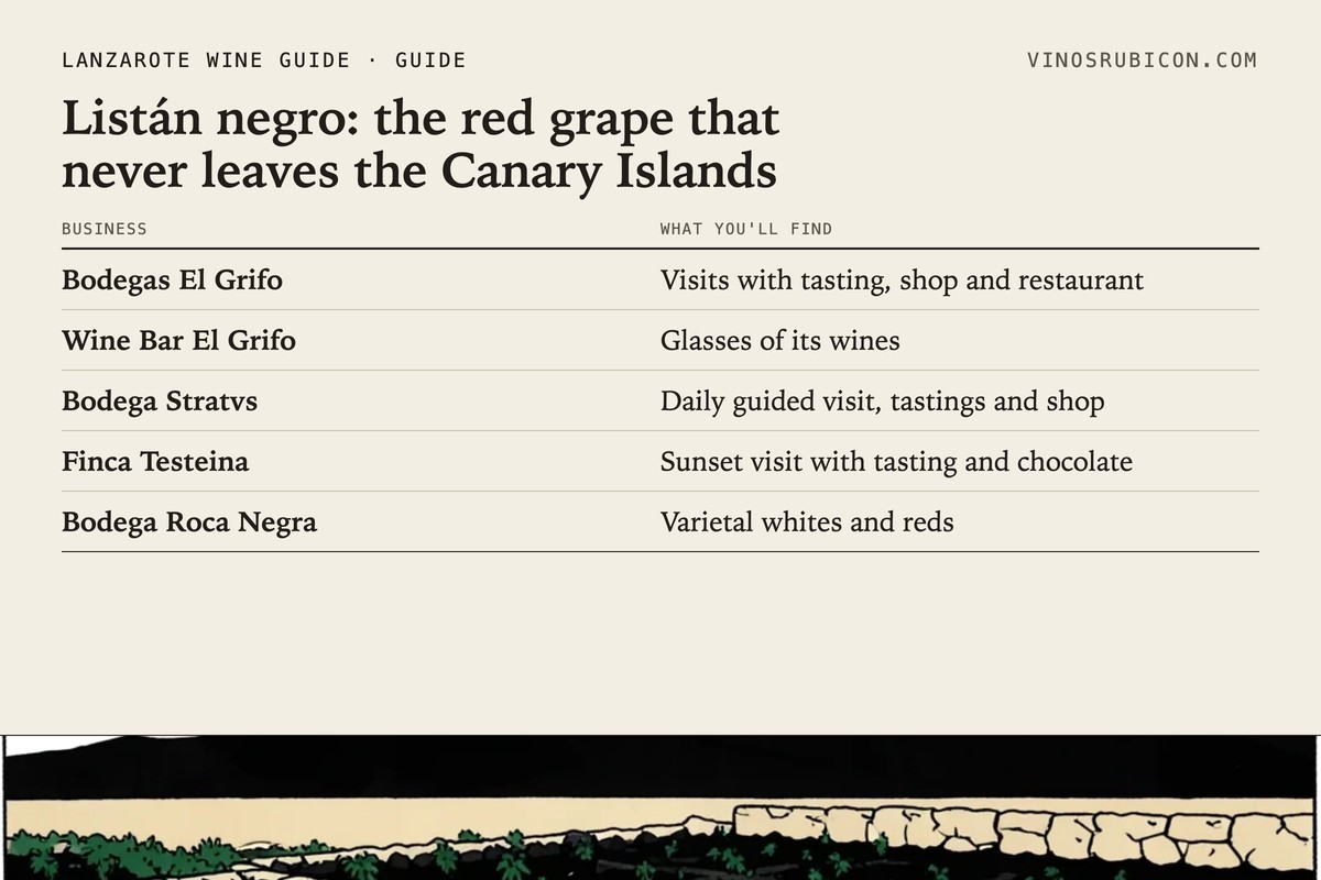 Listán negro: the red grape that never leaves the Canary Islands · data sheet