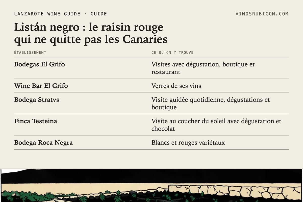 Listán negro : le raisin rouge qui ne quitte pas les Canaries · fiche de données