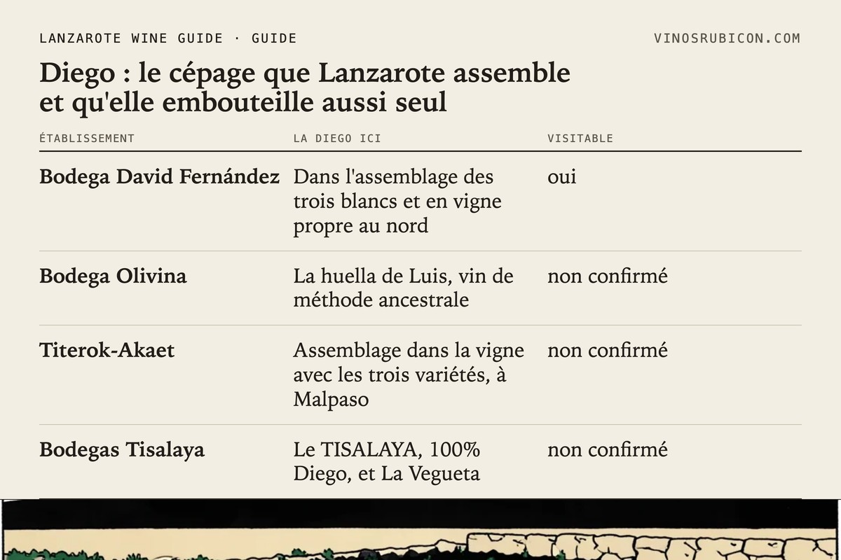 Diego : le cépage que Lanzarote assemble et qu'elle embouteille aussi seul · fiche de données