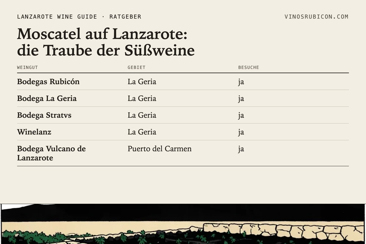 Moscatel auf Lanzarote: die Traube der Süßweine · Datenblatt