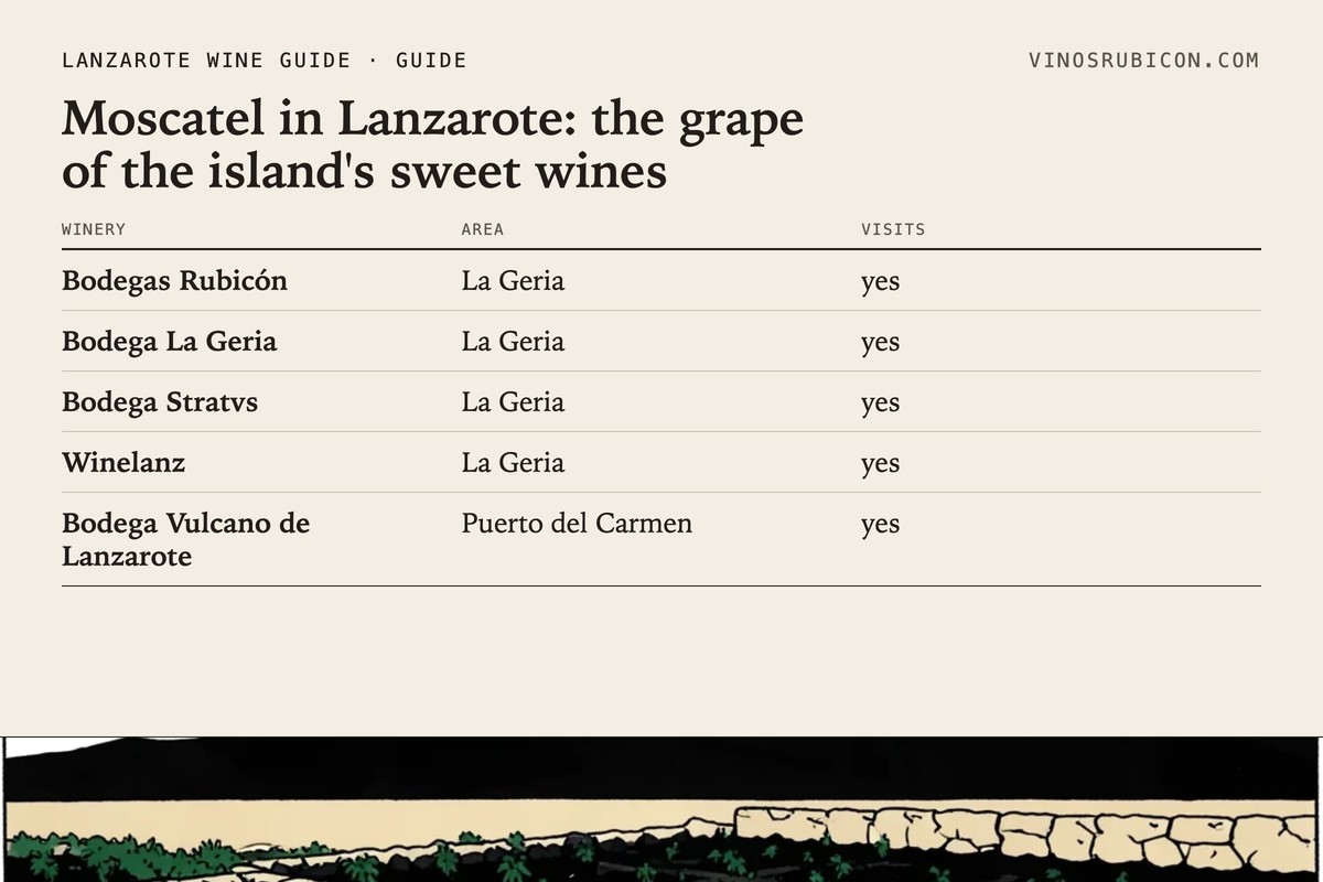 Moscatel in Lanzarote: the grape of the island's sweet wines · data sheet