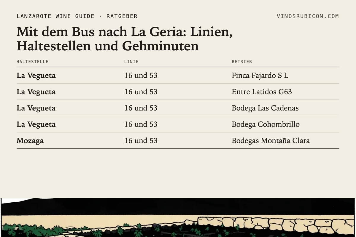 Mit dem Bus nach La Geria: Linien, Haltestellen und Gehminuten · Datenblatt