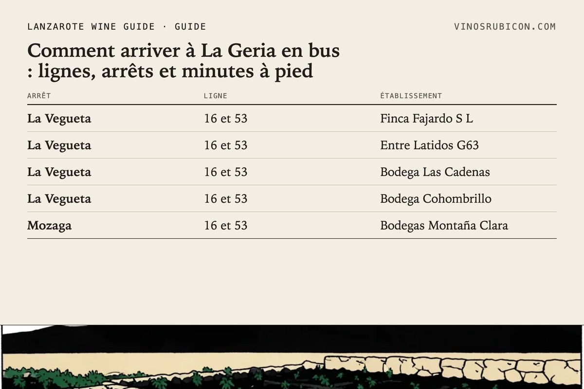 Comment arriver à La Geria en bus : lignes, arrêts et minutes à pied · fiche de données